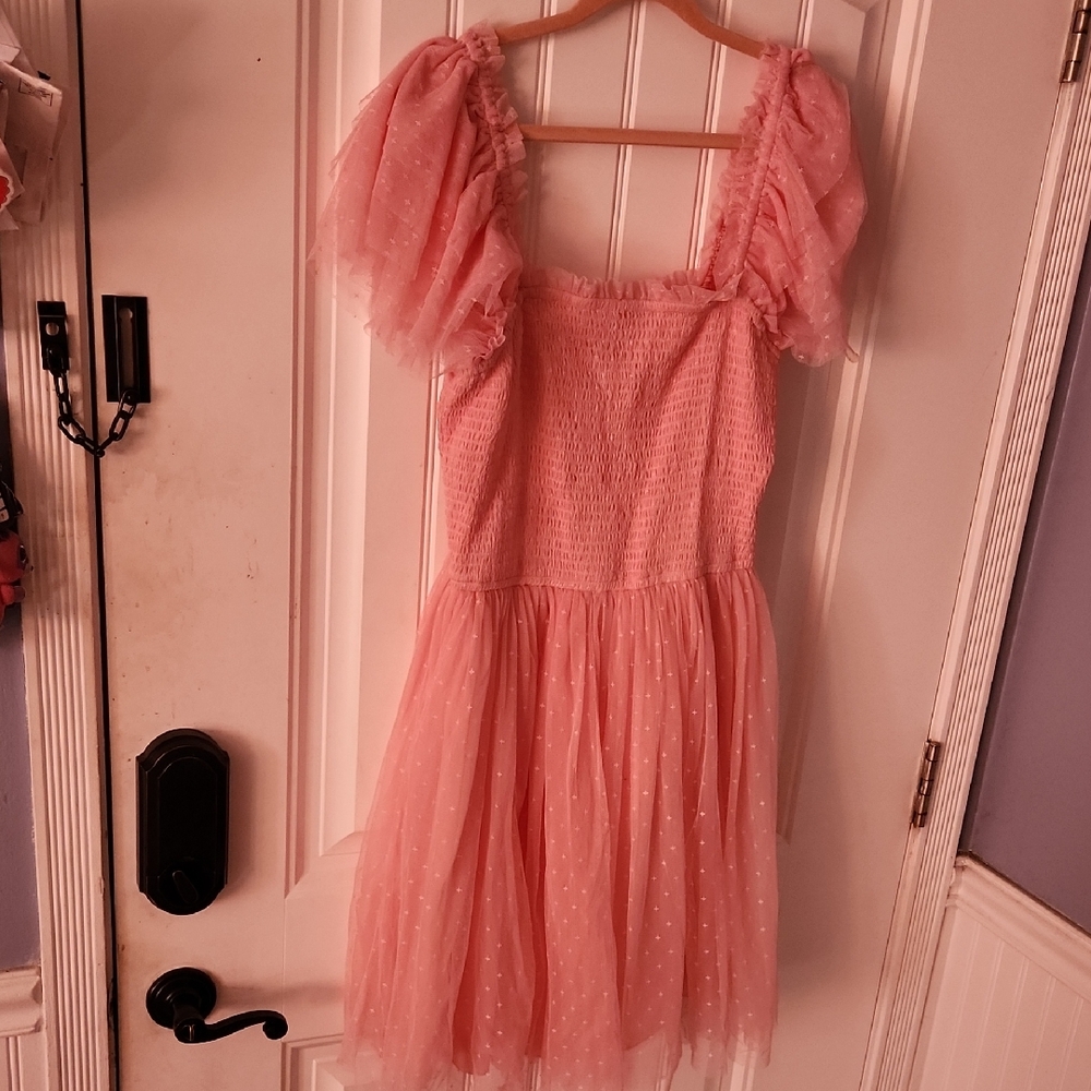 JessaKae Pink Teacup Dress XL